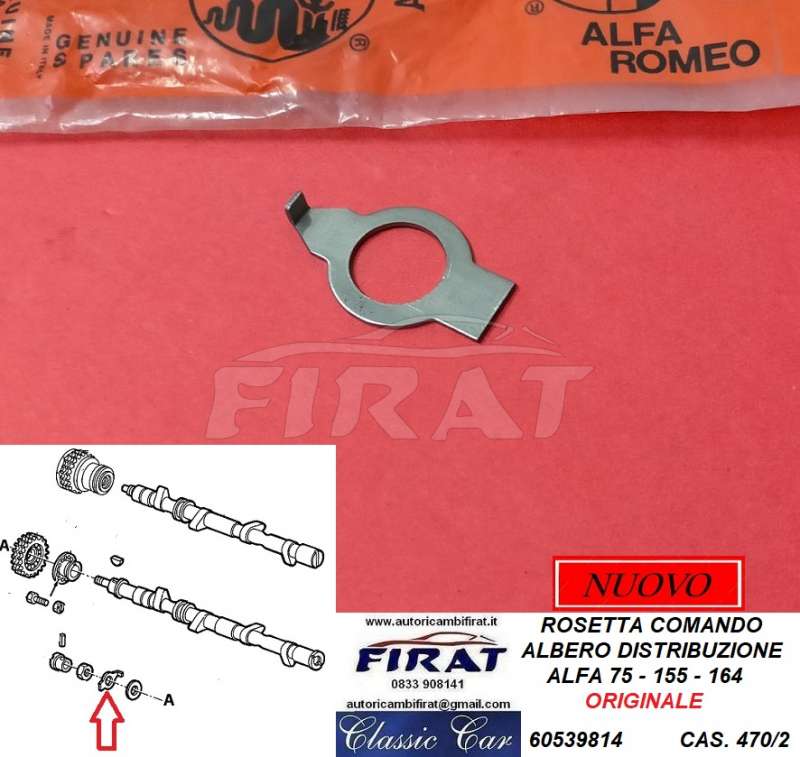 ROSETTA ALABERO DISTRIBUZIONE ALFA 75 155 164 (60539814)